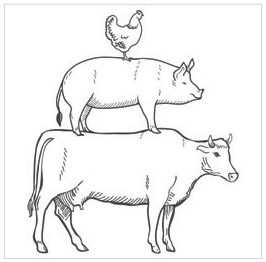 FARM ANIMALS - EUROSCRUBBY DISHCLOTH