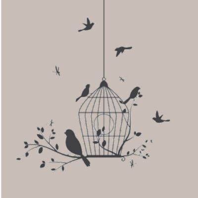 BIRDCAGE - EUROSCRUBBY DISHCLOTH