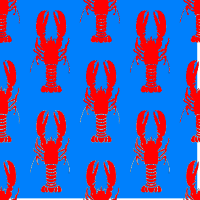LOBSTER - EUROSCRUBBY DISHCLOTH