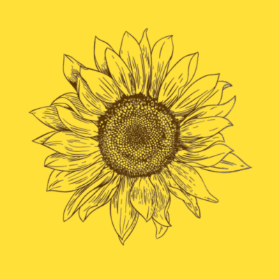 SUNFLOWER - EUROSCRUBBY DISHCLOTH