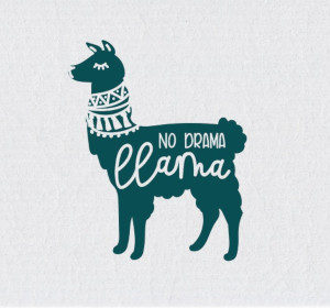 NO DRAMA LLAMA- EUROSCRUBBY DISHCLOTH