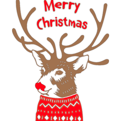 CHRISTMAS REINDEER - EUROSCRUBBY DISHCLOTH